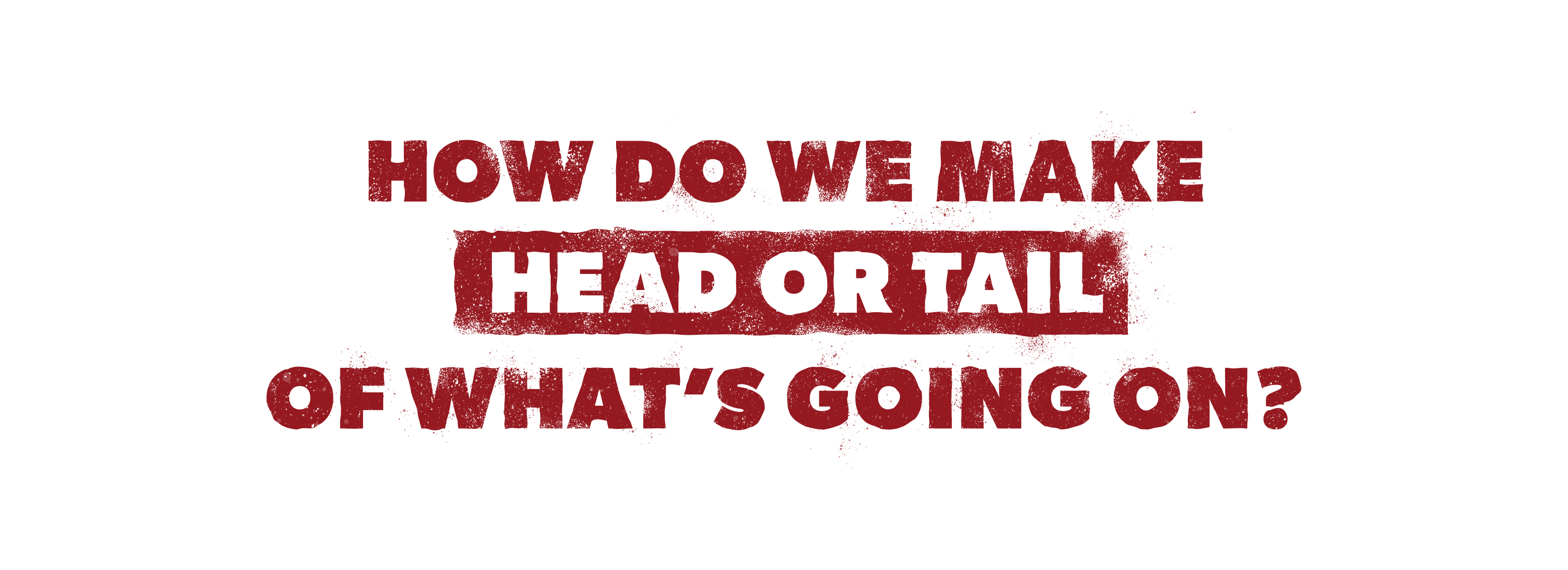 How do we make head or tail of what's going on?